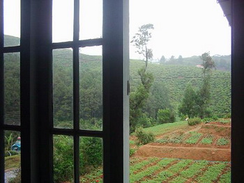 Sri Lanka, Nuwara Eliya, Ingle Wood Lodge